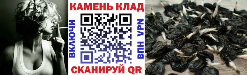 Купить где  Котельниково  Гашиш Изолятор 