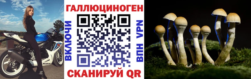 Купить где  Котельниково  Галлюциногенные грибы ЛСД 